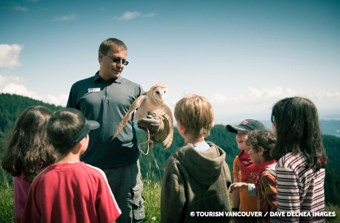 Head to Grouse Mountain