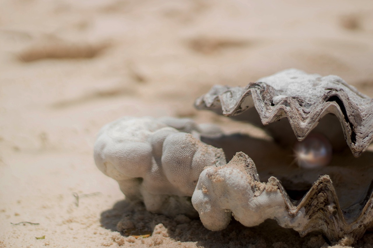 An oyster on sand with a pearl inside it