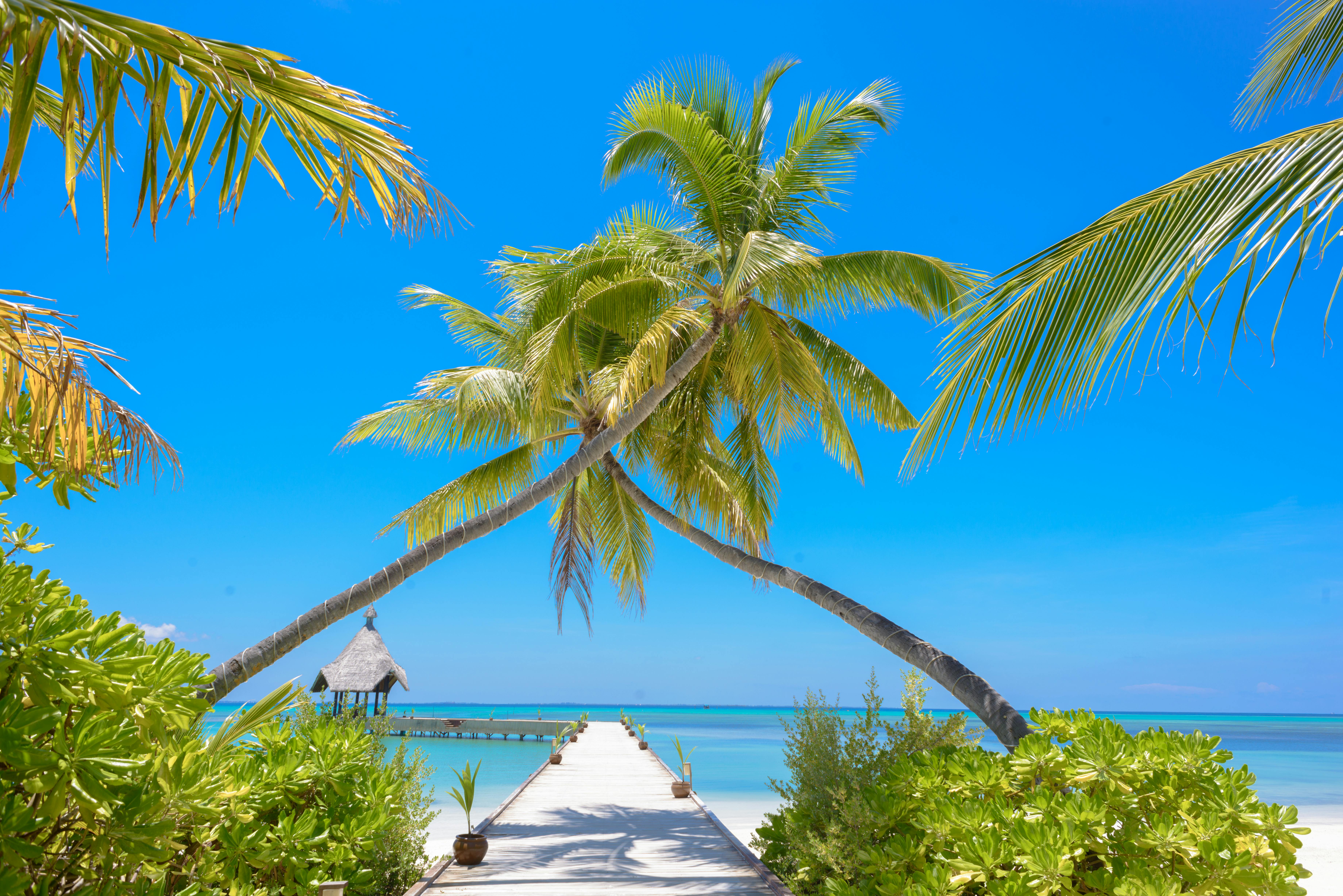 An overwater walkway in a beachfront resort on a sunny day