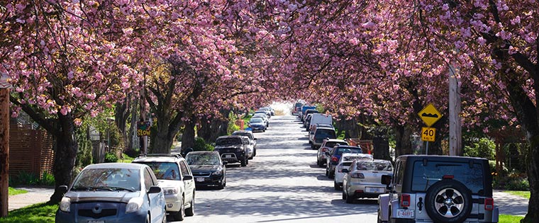 Spring