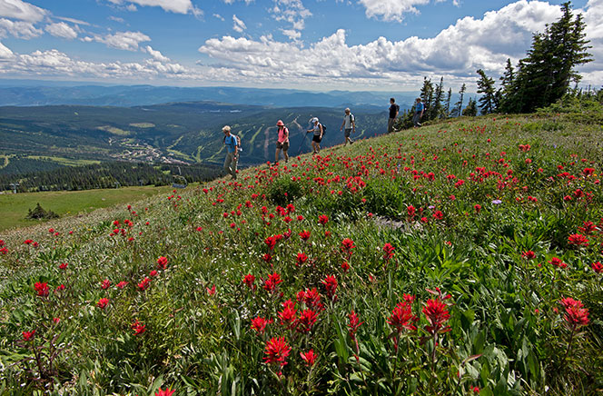 Hiking in the Alpine