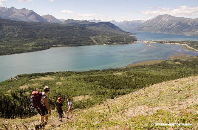 Carcross