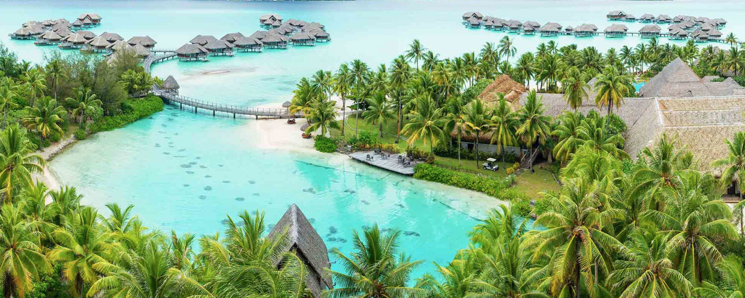 I will be planning for my next holiday with the Entire Travel Group.